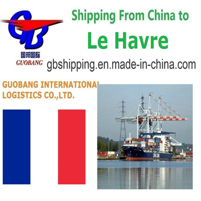 Customization Fast and Professional Air Sea Freight LCL FCL Courier Services from to Le Havre