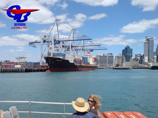 Sea Freight From Shenzhen to USA Shipment Type FCL and LCL Special Service Combine Shipment From Several Suppliers