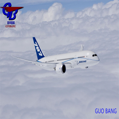 Total Supply 8000-10000 kg Shipping Freight From to Europe Special Service Combine Shipment From Several Suppliers