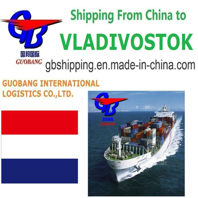 Total Supply 1000teu/Month Professional and Affordable Shipping Services to Vladivostok