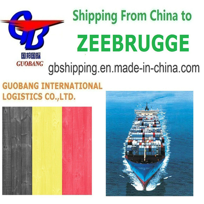 Convenient and Customizable Shipping Services From to Zeebrugge Belgium Air Sea Freight LCL FCL Courier