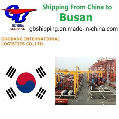 Daily Departure Best Shipping Services From to Busan Korea Total Supply 1000teu/Month