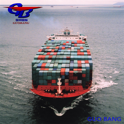 Shipping Services From Shanghai/Shenzhen/ to Amsterdam Holland One Stop Service Booking-Pick up-Custom Clearance-on Board