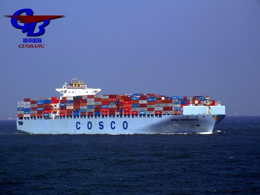 Shipping Services From Shanghai/Shenzhen/ to Amsterdam Holland One Stop Service Booking-Pick up-Custom Clearance-on Board