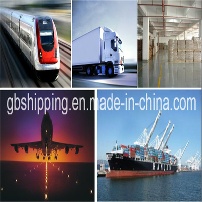 Global Sea Air Freight Shipping from Shenzhen to Worldwide Destinations with Fast Transit Times