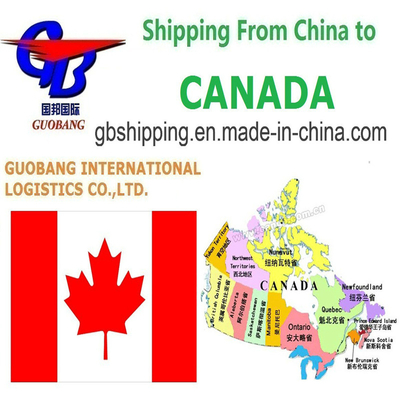 Total Supply 1000teu/Month Shipping Services From to Canada One Stop Service Booking-Pick up-Custom Clearance-on Board