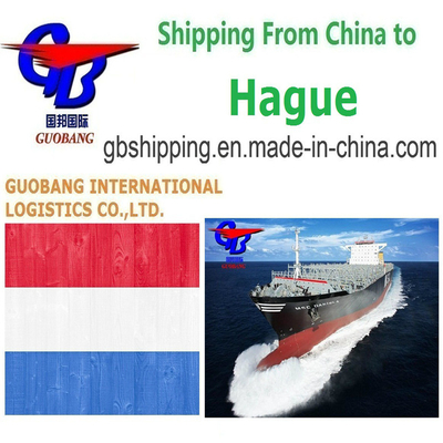 Customs Clearance Made Simple Customs Brokerage Custom Clearance From to Hague Netherlands