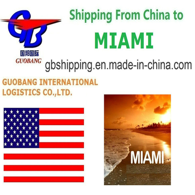 Total Supply 1000teu/Month Shipping Services from to Miami with Fast Customs Clearance