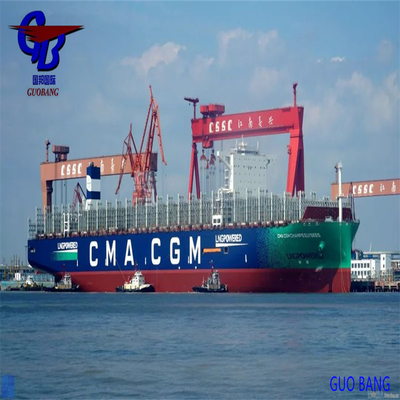 Cma Shipping Services From to Lyon Transit Time 1-15 Days One Stop Service Booking-Pick up-Custom Clearance-on Board