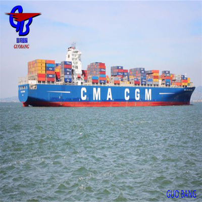 Cma Shipping Services From to Lyon Transit Time 1-15 Days One Stop Service Booking-Pick up-Custom Clearance-on Board