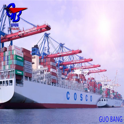 Customs Brokerage Custom Clearance for Poland Best Shipping Freight Services from Ningbo to Gdansk
