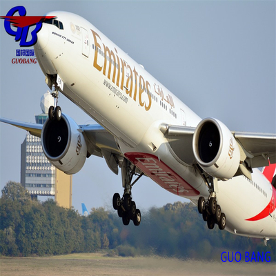 Air Transport Service from to Southeast Asia Customization with International Aviation Service
