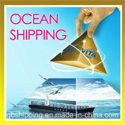 Professional Sea Freight Shipping Service From to Canada Vancouver and Calgary