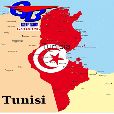 Sea Shipping to Tunisia by Apl One Stop Service for Booking-Pick up-Custom Clearance-on Board