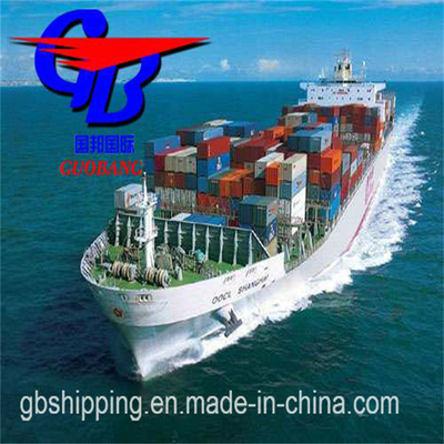 Sea Freight From to Saudi Arabia Total Supply 5000-8000 kg and Special Service Combine Shipment From Several Suppliers