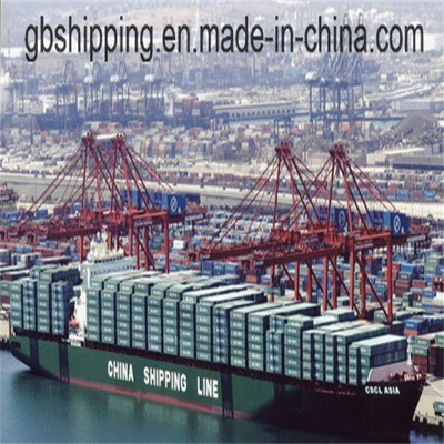 Customs Clearance Customs Brokerage with DG and LCL or FCL Container Logistics to Santos Brazil from Shenzhen