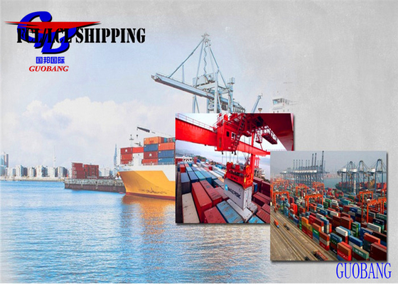 Flexible and Professional Shipment Type LCL to Fiji from Shenzhen Freight Services