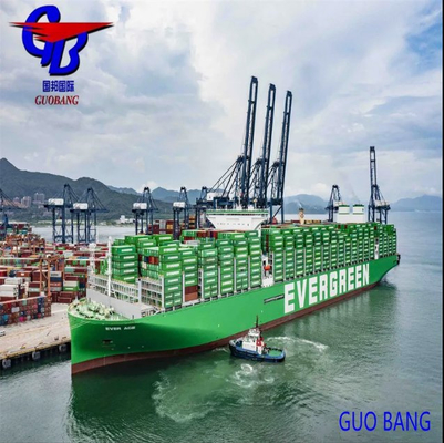 Flexible and Professional Shipment Type LCL to Fiji from Shenzhen Freight Services