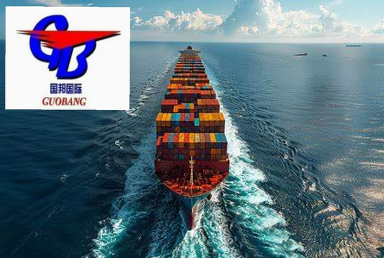 Get the Best Deal on FCL Sea Freight from to Indonesia 12 Days Transit Time Total Supply 1000-10000