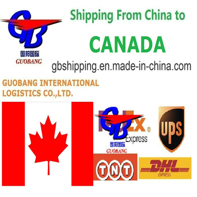 One Stop Service Booking-Pick up-Custom Clearance-on Board International Aviation Service Courier Service From to Canada
