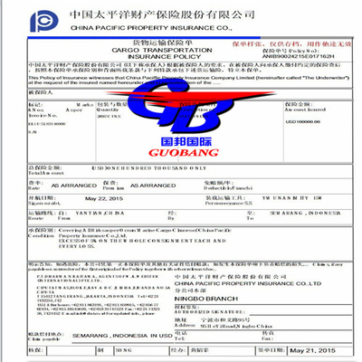 Customs Capacity Insurance Policy for International Shipments by Leading Shipping Company
