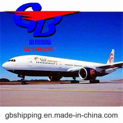 Air Shipping from Shenzhen to Sao Paulo Brazil One Stop Booking-Pick up-Custom Clearance-on Board