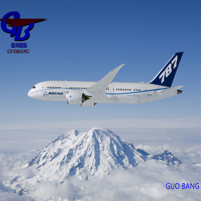 Fowarder Air Transport Europe with Customs Brokerage Custom Clearance and CIQ Add-on Service
