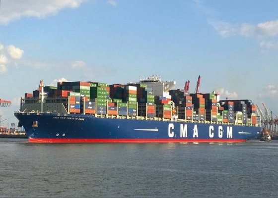 China To India FCL 40GP International Freight Forwarder