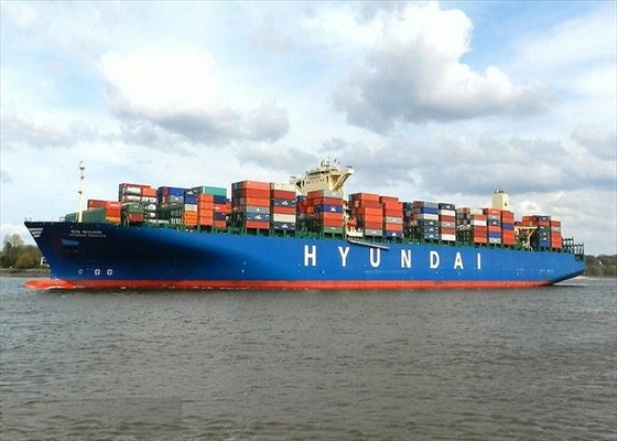 China To India FCL 40GP International Freight Forwarder