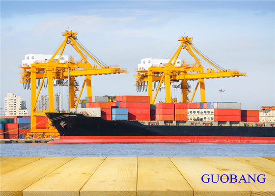 International Sea Freight LCL Shipping From China To USA