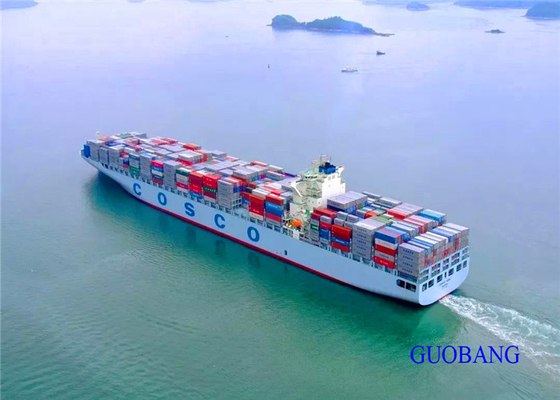 China To Alexandria 20FR International Sea Freight