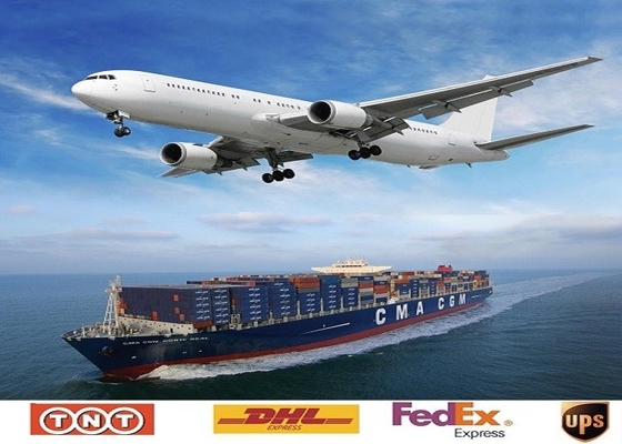 Offer Export License Jiangmen China Customs Clearance