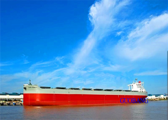 China To Saudi Arabia 20OT International Sea Freight