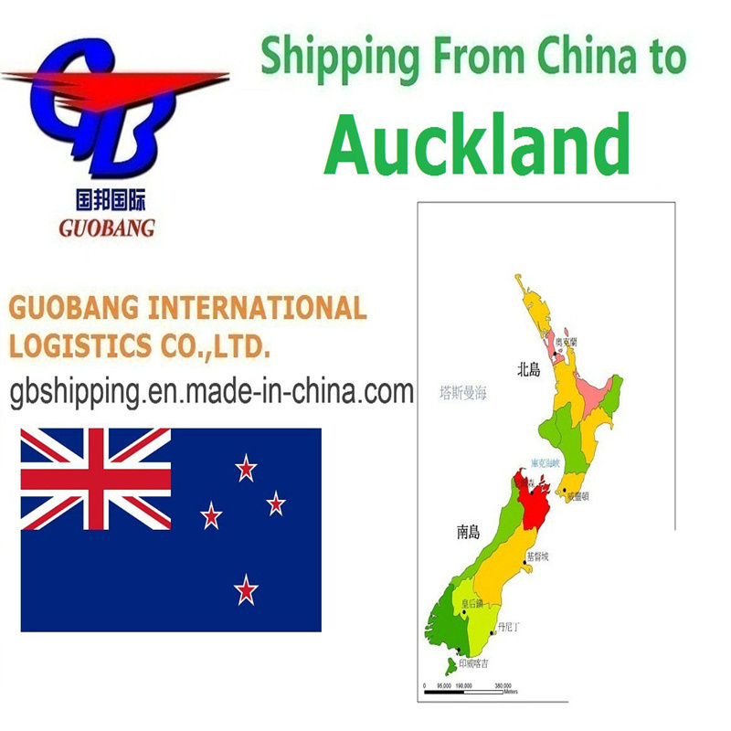 One Stop Service Booking-Pick up-Custom Clearance-on Board Best Shipping Services From to Auckland