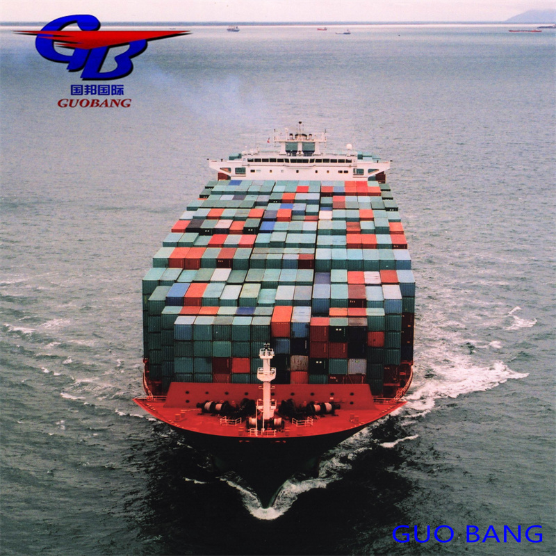 Shipping Service Customs Capacity Import and Customs Clearance from to Europe with 8000-10000 kg Total Supply