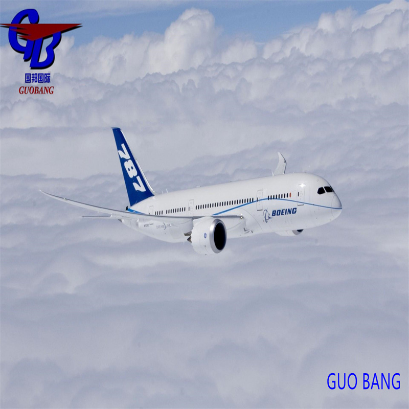 Total Supply 8000-10000 kg Shipping Freight From to Europe Special Service Combine Shipment From Several Suppliers