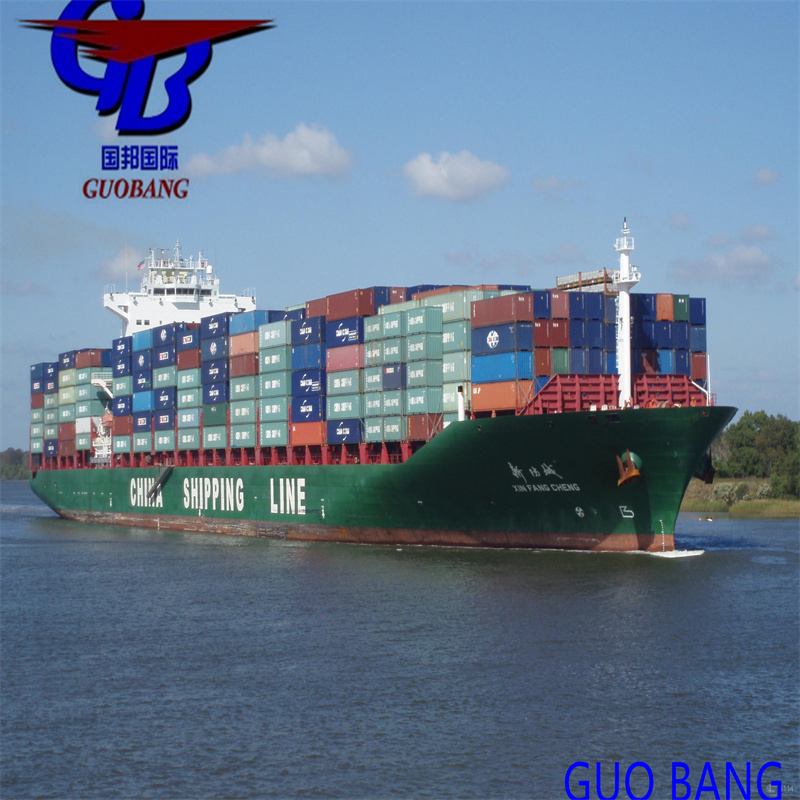 Shipping Services From Shanghai/Shenzhen/ to Amsterdam Holland One Stop Service Booking-Pick up-Custom Clearance-on Board