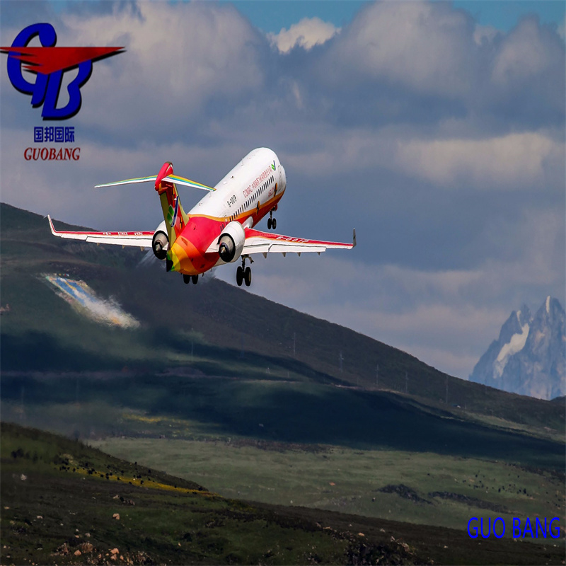 Customs Clearance Sea Air Freight Shipping Service From to Japan RF Trusted and Affordable Shipping
