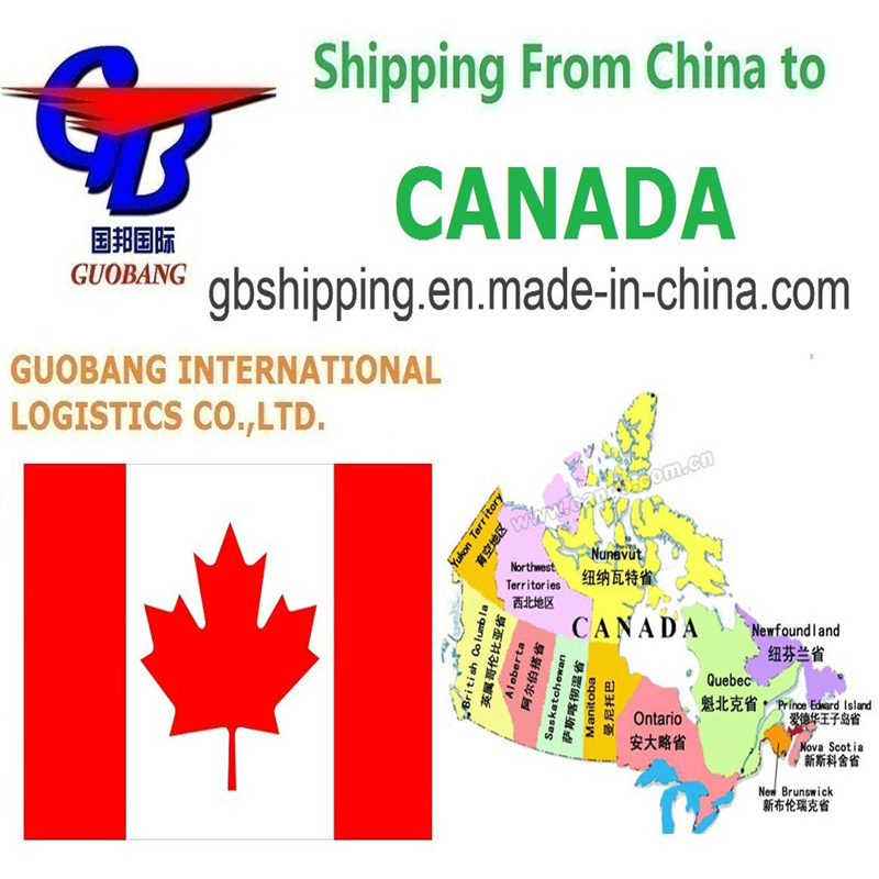 Total Supply 1000teu/Month Shipping Services From to Canada One Stop Service Booking-Pick up-Custom Clearance-on Board