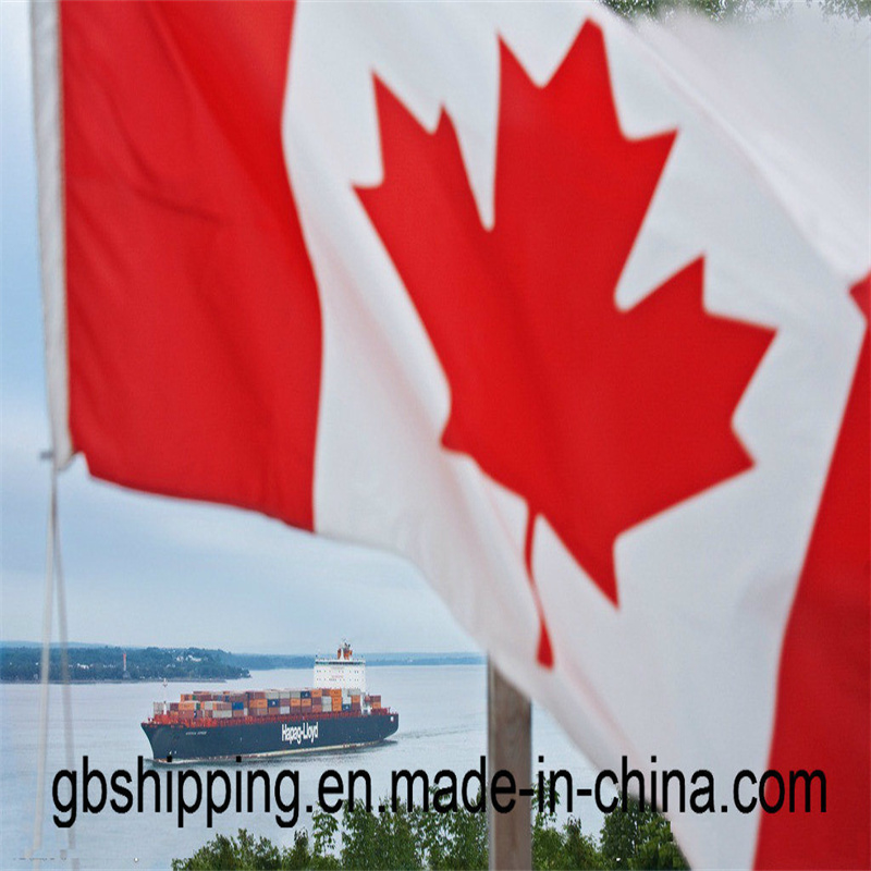 24 Hours on Line Tracking Service Provided by Experts for Air Freight / Sea Freight to Canada Form a Documents