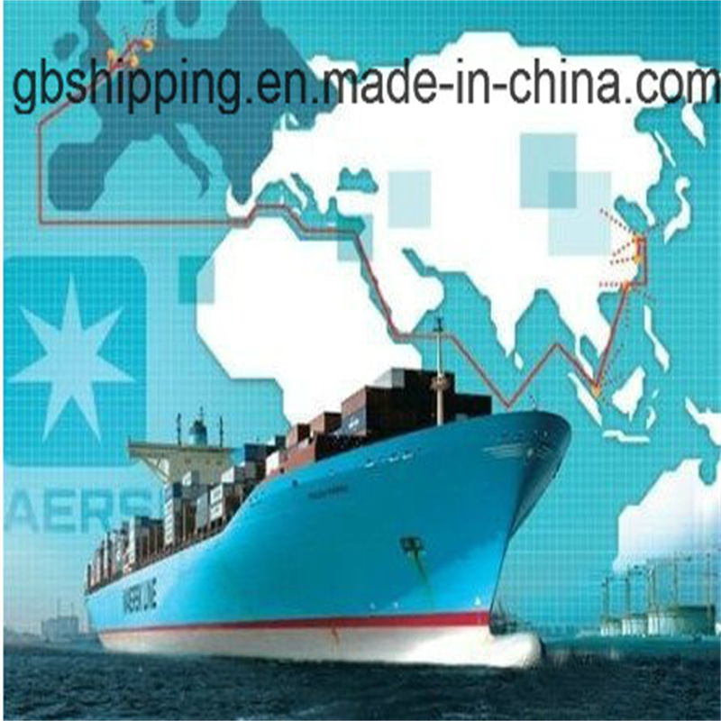 Shenzhen//Shanghai/Ningbo Air Freight Forwarder to Worldwide One Stop Service Booking-Pick up-Custom Clearance-on Board