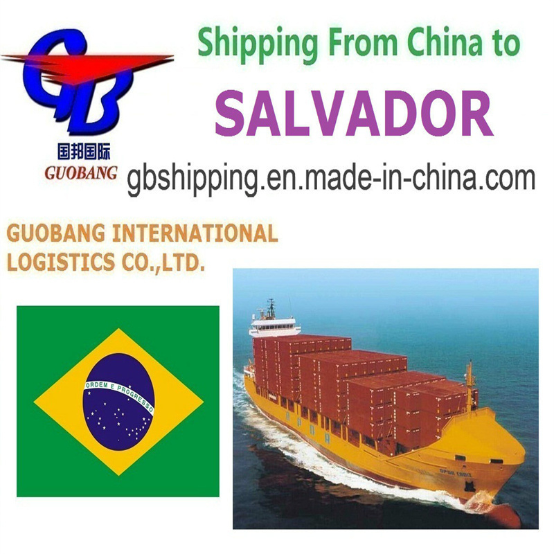 Ocean Shipping Services from to Salvador Customs Clearance for Booking-Pick up-Custom Clearance-on Board