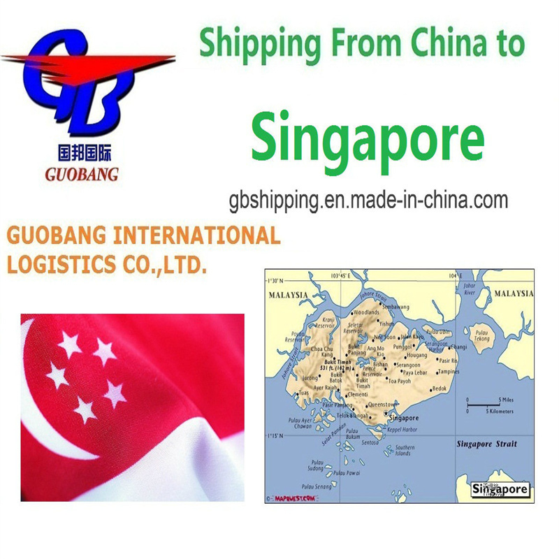 Trucking Pick up From Suppliers to Port/Warehouse Air Shipping From to Singapore International Aviation Service