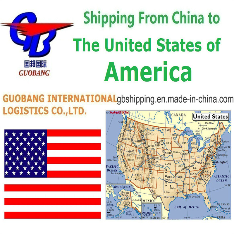 FCL and LCL Shipment Type Professional Shipping Services From to USA HK Service