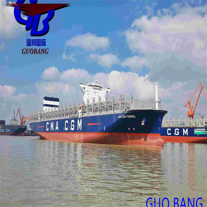 SGS Verified Credibility Ocean Freight from to Iraq with Good Offer and Our Credibility Verified