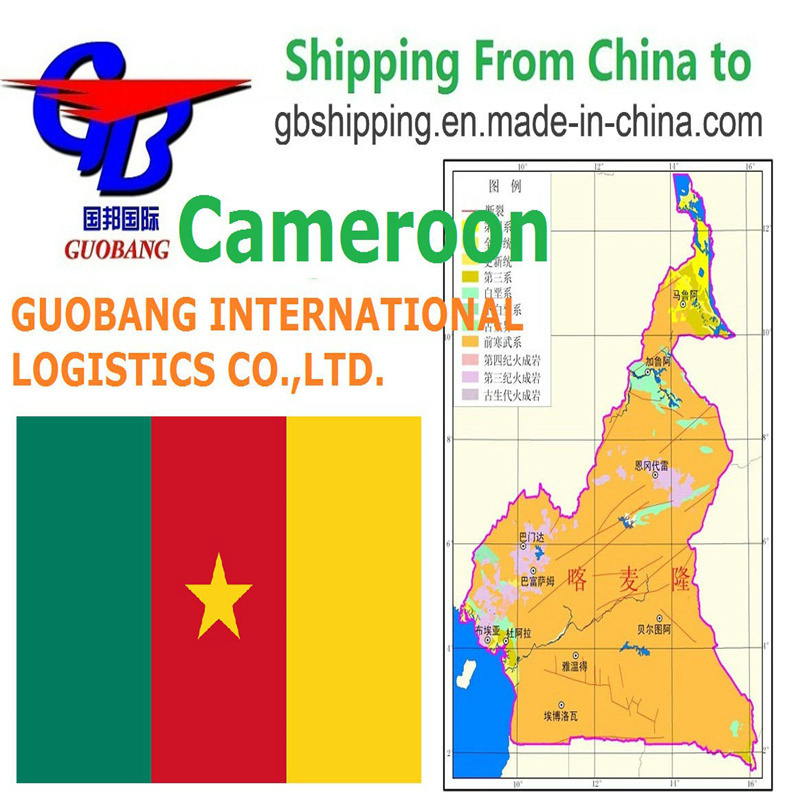 Shipping From to Cameroon by sea Co/Fa/Fe/FF Add-on Service Departure Shenzhen/HK//Shanghai/Tianjin