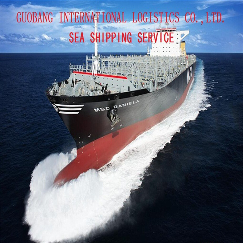 Shipping Service to Argentina Daily Departure by Sea Air Sea Freight LCL FCL Courier