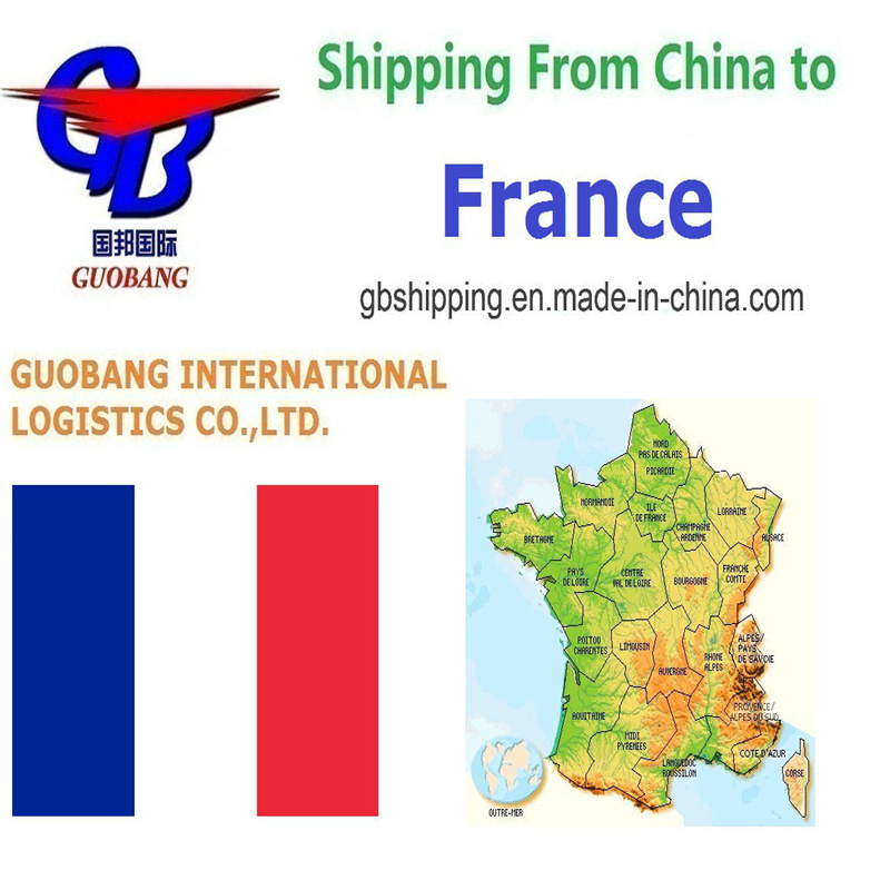 Trucking Pick up From Suppliers to Port/Warehouse Affordable Air Shipping Services From to France with Express Delivery