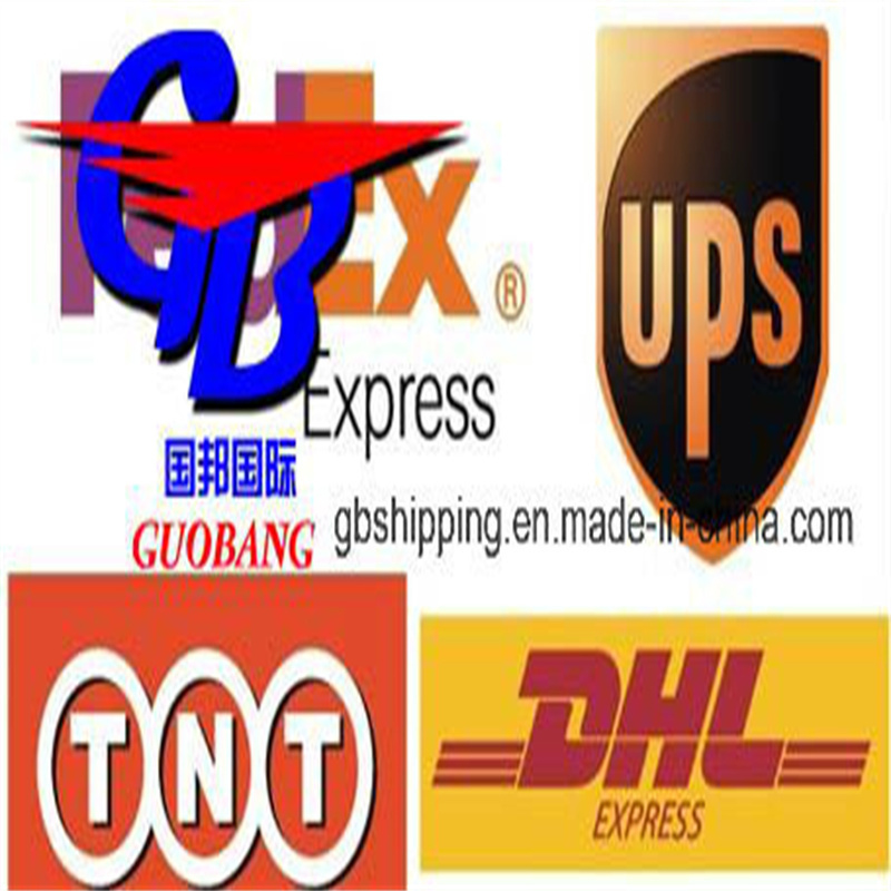 Guobang Guobang International Logistics Co. Sea Shipping Work Well with Msk UPS Shipping from to France