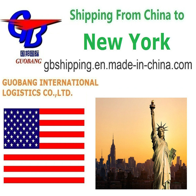 DHL Shipping from to York One Stop Service Booking-Pick up-Custom Clearance-on Board Air Shipping Work Well with CZ